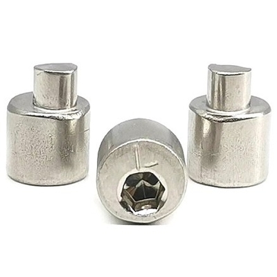 Non standard Hexagonal Eccentric Nail 304 Stainless Steel Solid Flat Round Head Step Rivet Fastener Connector