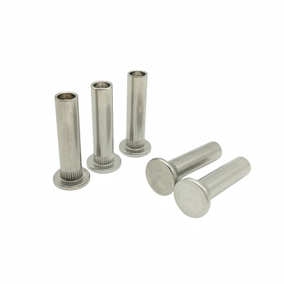 Rivetti in acciaio inossidabile Rivetti semi-cavi Diverse specifiche I produttori supportano la personalizzazione