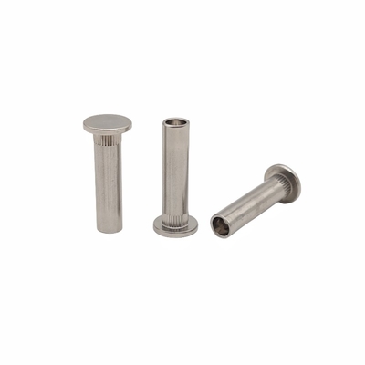 Acciaio inossidabile resistente allo spruzzo di sale Testa piatta Rivetti semi-cavi Rivetti dentati di acciaio inossidabile Rivetti a pressione Rivetto