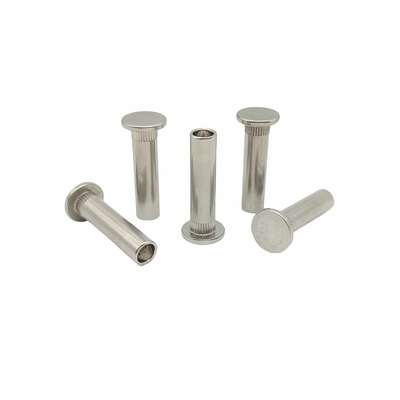Acciaio inossidabile resistente allo spruzzo di sale Testa piatta Rivetti semi-cavi Rivetti dentati di acciaio inossidabile Rivetti a pressione Rivetto