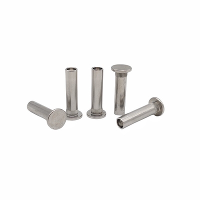 Rivetto a denti a fiori in acciaio inossidabile a testa piatta non standard con specifiche diverse.