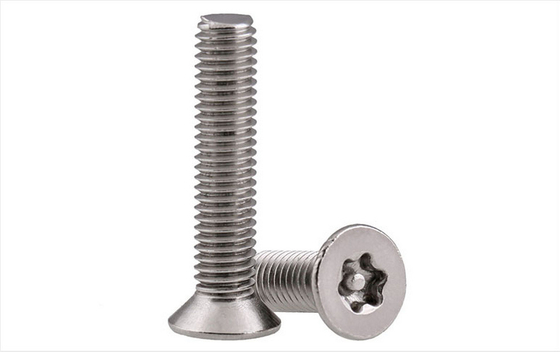 Flat Head anti-furto viti in acciaio inossidabile resistenti alle manomissioni