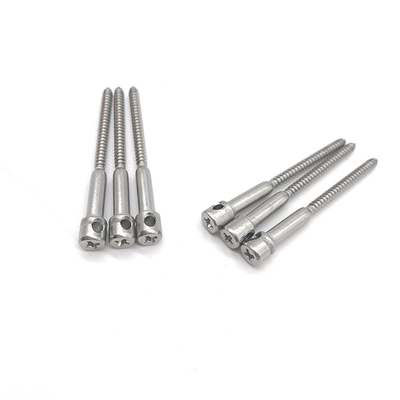 Viti con sigillo di piombo M4 Vite per contatore elettrico Bulloni da tavolo con sigillo per chiodi con foro Bullone in acciaio inossidabile 8mm-50mm Lunghezza - (M4x45mm