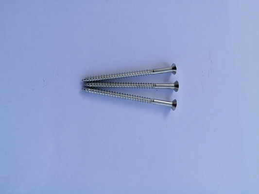 Viti autofilettanti passivate Fastenal 11X70 di acciaio inossidabile