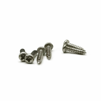 PA3.0X12 pezzo fucinato freddo di acciaio inossidabile Pan Head Self Tapping Screws
