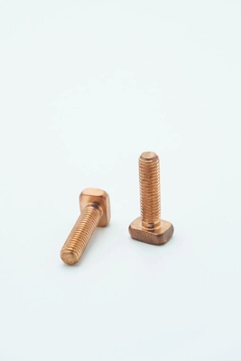 La testa quadrata T ha modellato il peso materiale 17.59g dell'acciaio C1022 della vite M8x30mm