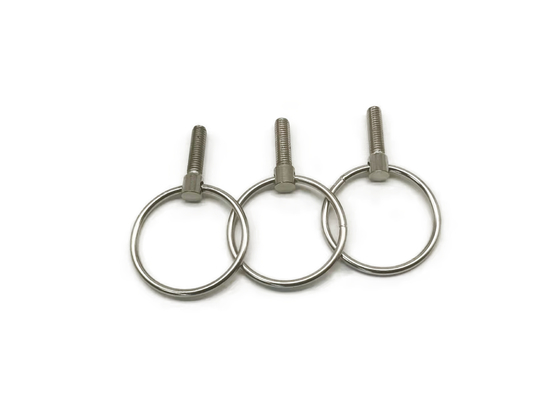 C1008 fermo non standard, piccole viti dell'occhio di acciaio inossidabile M6x16