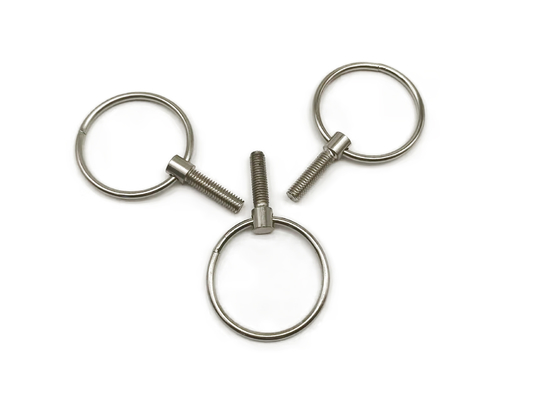 C1008 fermo non standard, piccole viti dell'occhio di acciaio inossidabile M6x16