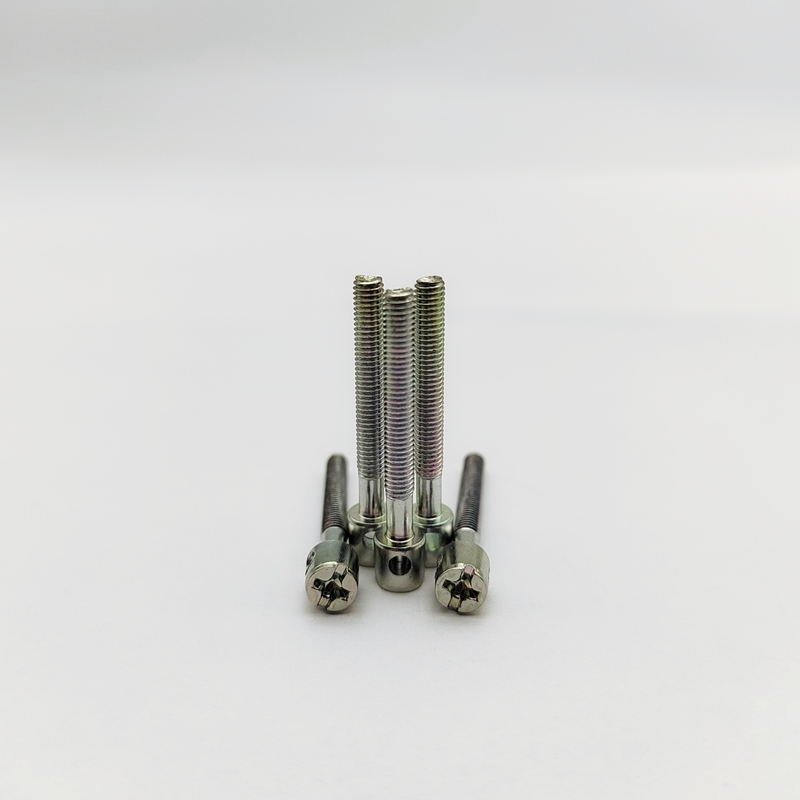 Viti per contatore in acciaio inossidabile 316 di grado marino - Antimanomissione M4 M5 M6