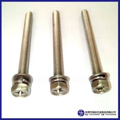 materiale extra-lungo DIN571 DIN964 delle viti di macchina della sfortuna di 200mm SS302