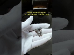 Vetture anti-furto in acciaio inossidabile, a prova di manomissione, SS304 Materiale M4x15