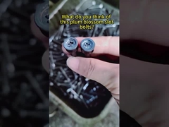 Torx Head Screws ad alta resistenza - Guanbiao Hardware-affidabilità in ogni dettaglio #stainlesssteelscrew