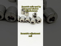 Passività standard nazionale eccentrica SS316 della vite A2-70 per la cerniera rotta della finestra del ponte