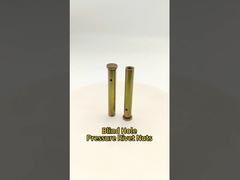 Colonna di nocciolo di riveto a pressione a buco cieco